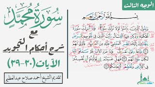 كيف تقرأ سورة محمد مع شرح أحكام التجويد|٢٠-٢٩
