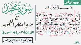 كيف تقرأ الوجه الأخير سورة محمد مع شرح أحكام التجويد| ٣٠-٣٨