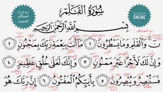 تعلم قراءة سورة القلم مع شرح أحكام التجويد