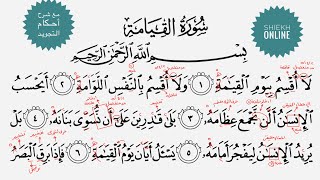 تعلم قراءة سورة القيامة مع شرح أحكام التجويد