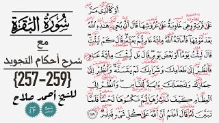 كيف تقرأ سورة البقره مع شرح أحكام التجويد| 257-259