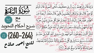 كيف تقرأ سورة البقره مع شرح أحكام التجويد| 260-264