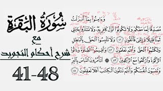 كيف تقرأ سورة البقرة مع شرح أحكام التجويد| ٤١-٤٨