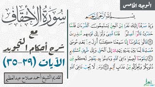 كيف تقرأ سورة الأحقاف مع شرح أحكام التجويد| ٢٩-نهاية السورة