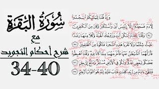 كيف تقرأ سورة البقرة مع شرح أحكام التجويد| ٣٤-٤٠