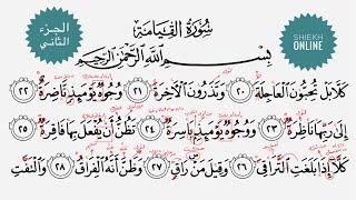 تعلم قراءة سورة القيامة مع شرح أحكام التجويد| الجزء الثاني