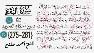 كيف تقرأ سورة البقره مع شرح أحكام التجويد|275-281