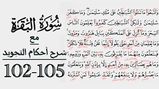 كيف تقرأ سورة البقرة مع شرح أحكام التجويد| 102-105