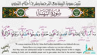 تثبيت سورة البينة مع الترجمة وشرح الأحكام| المصحف المعلم- شيخ أونلاين
