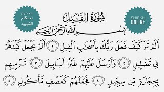 تعلم قراءة سورة الفيل مع شرح أحكام التجويد
