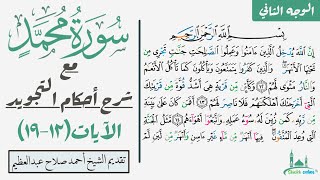 كيف تقرأ سورة محمد مع شرح أحكام التجويد|١٢-١٩