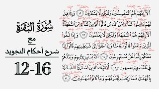 كيف تقرأ سورة البقرة مع شرح أحكام التجويد| ١٢-١٦