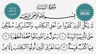 تعلم قراءة سورة البينة مع شرح أحكام التجويد | الدرس الأول